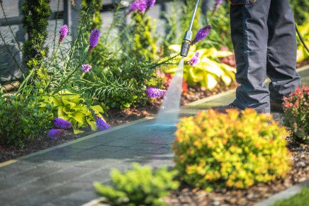 Trusted Waukon, IA Pressure Washing Services Experts